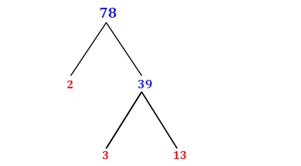 prime factorization of 78 using factor tree